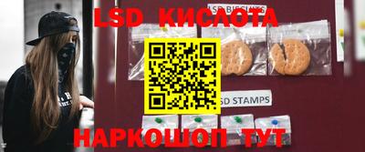 гашик Кимры