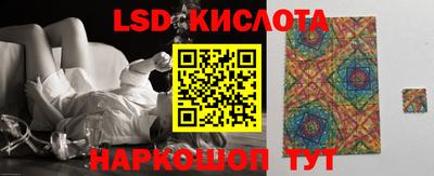стаф Кинель