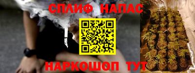 стаф Кинель