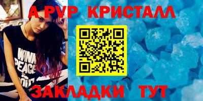 стаф Кинель