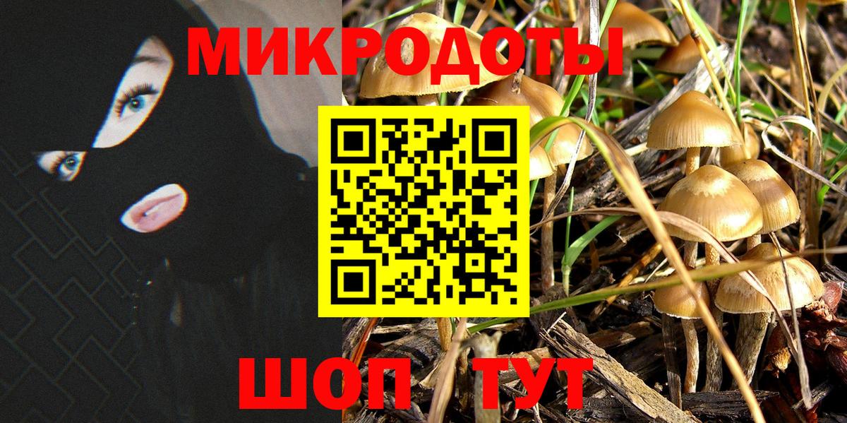 как найти наркотики  Вход с VPN  Когалым  Псилоцибиновые грибы Psilocybe  Галлюциногенные грибы Magic Shrooms 